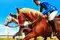 Horse Racing Games 2020 Derby Riding Race 3d